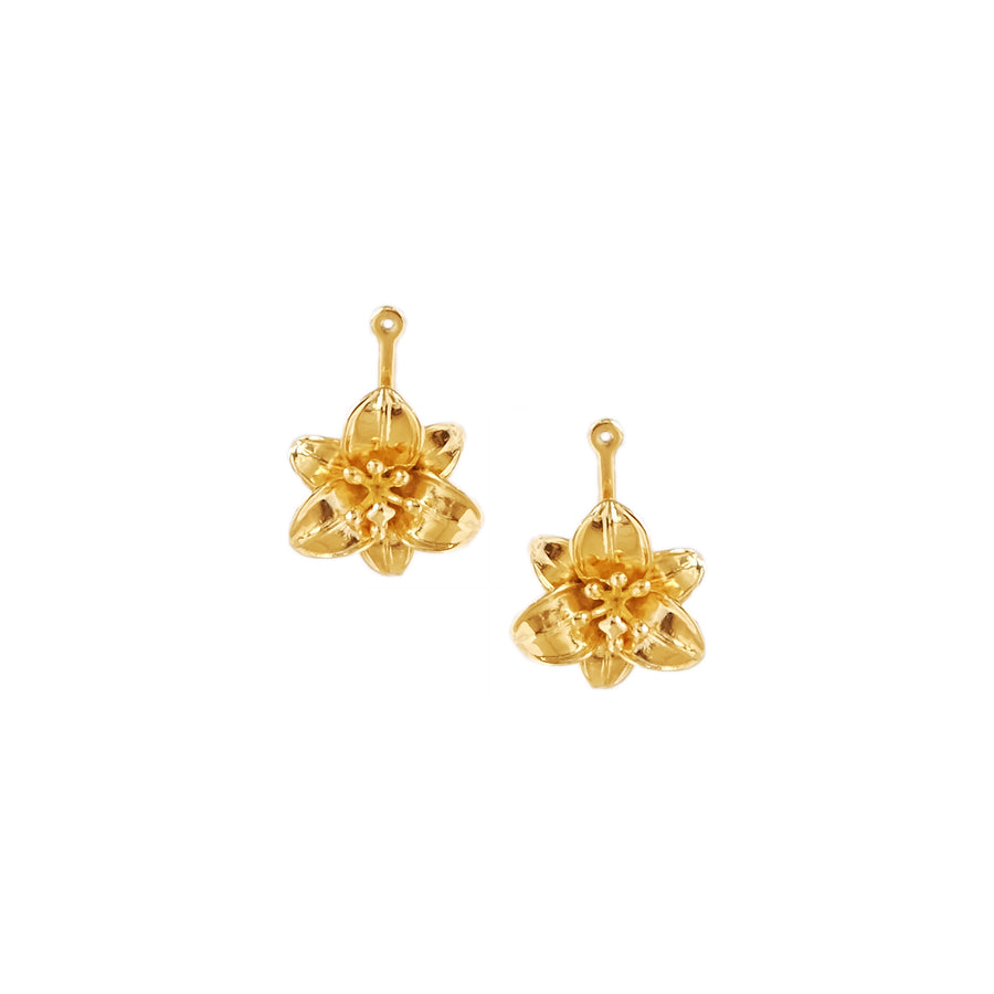 Gazer Drops in Gold