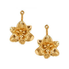 Gazer Drops in Gold