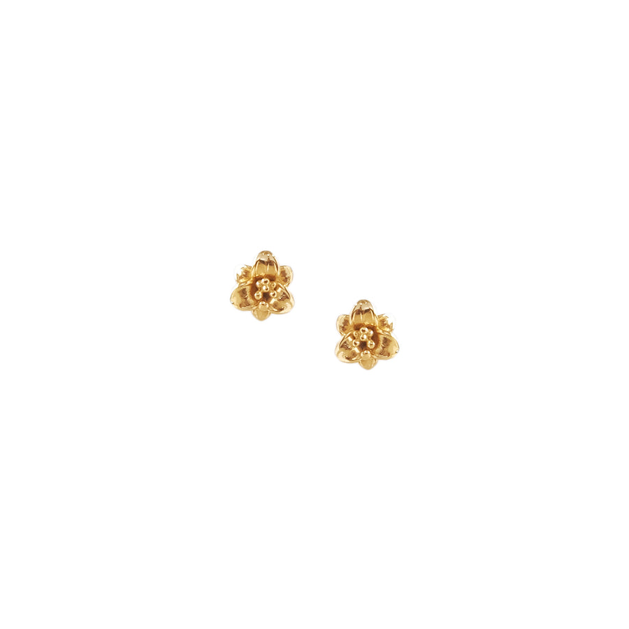Gazer Stud Earrings in Gold